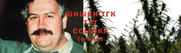 дурь Ладушкин