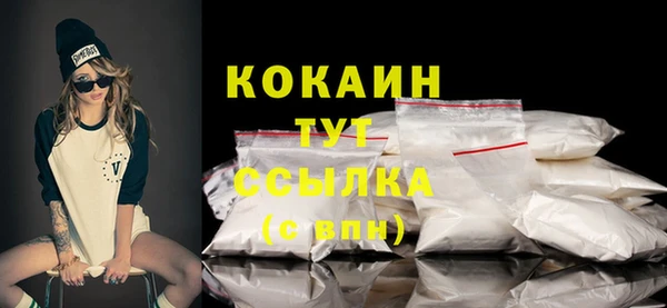 твердый Лабытнанги