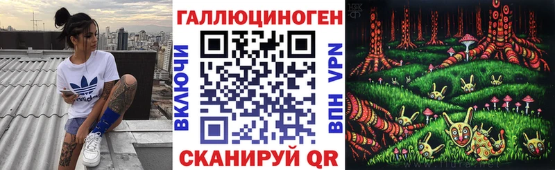 Псилоцибиновые грибы Psilocybine cubensis  Холм 